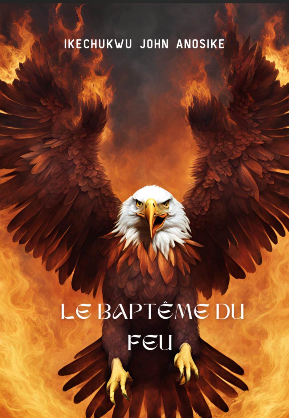 Baptism Of Fire - French (eBook)
