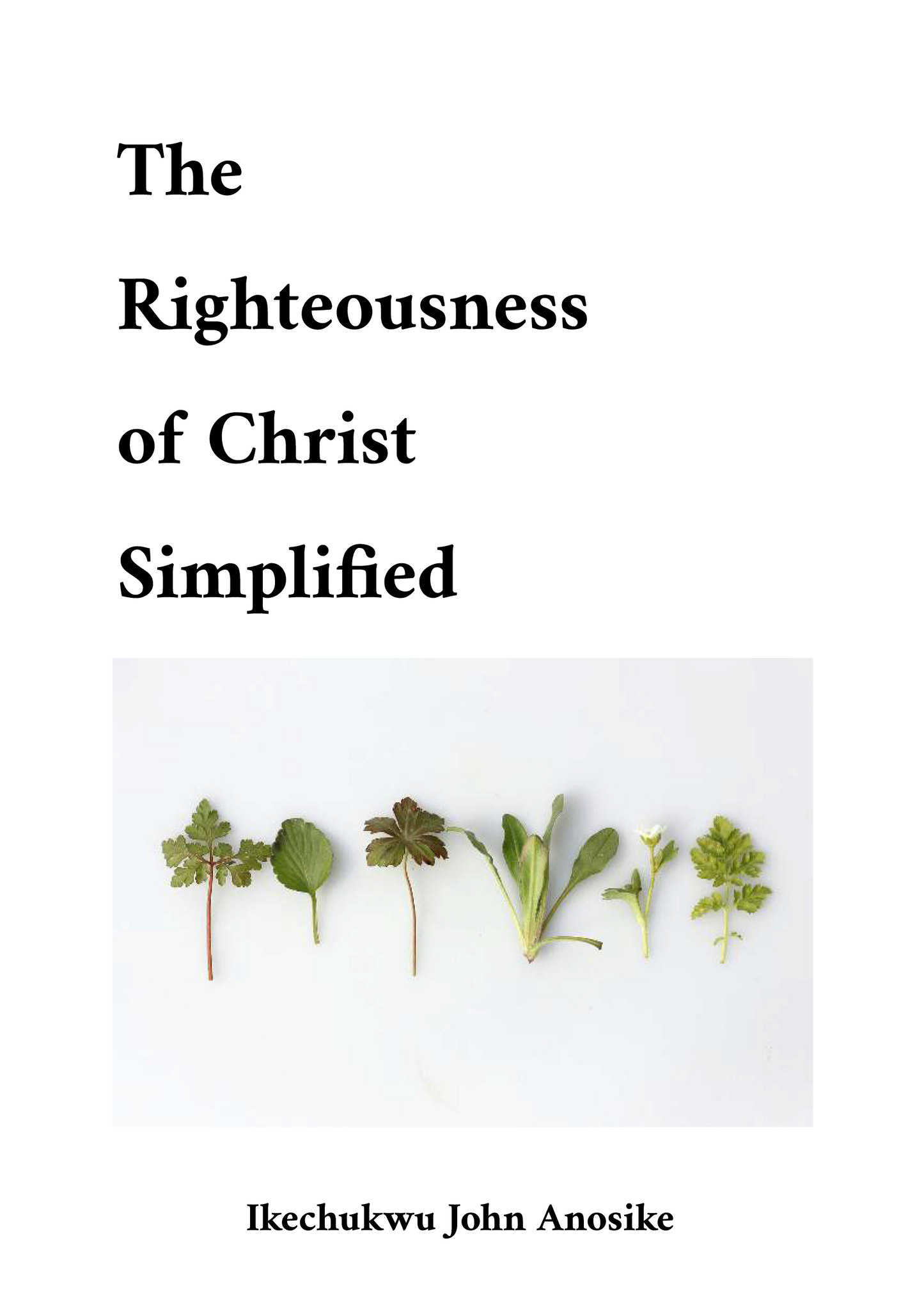 The Righteousness of Christ (Audio)