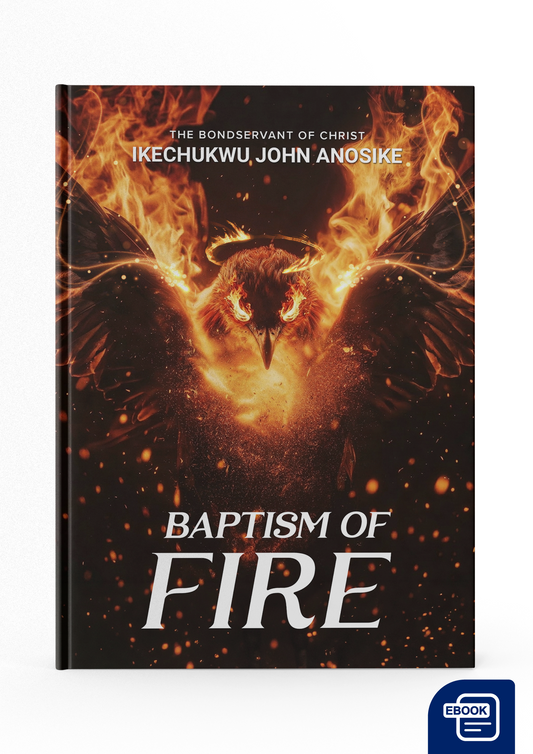 Baptism Of Fire - English (eBook)
