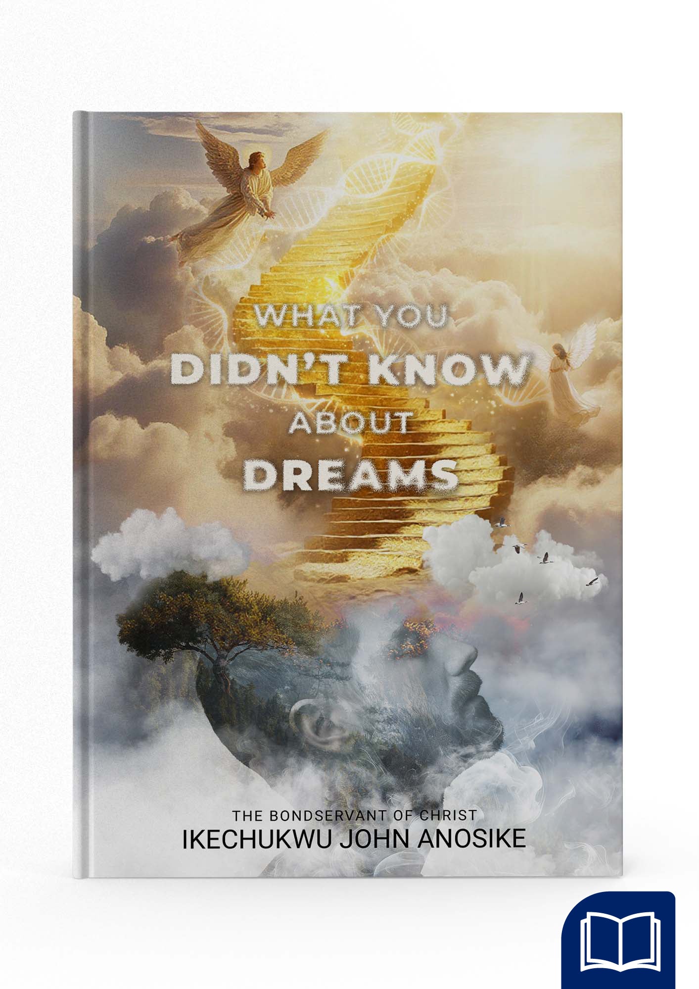 What You Didn't Know About Dreams (PAPERBACK)