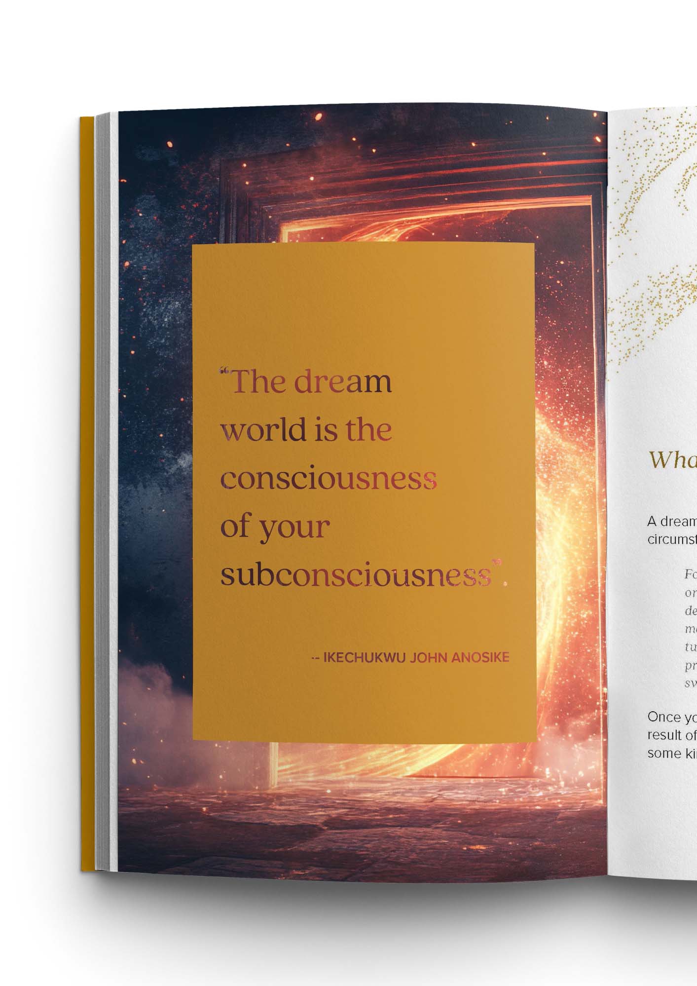 What You Didn't Know About Dreams (PAPERBACK)